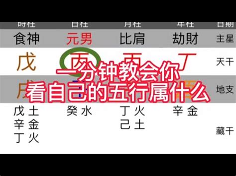 2021年五行屬什麼|生辰八字查詢，生辰八字五行查詢，五行屬性查詢